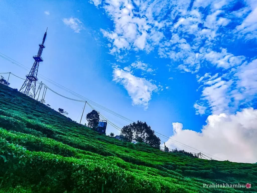 Eagles Crag Kurseong