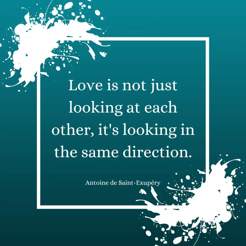 Love is not just looking at each other, it's looking in the same direction.